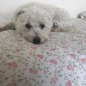 Meet your Posher, Tessa